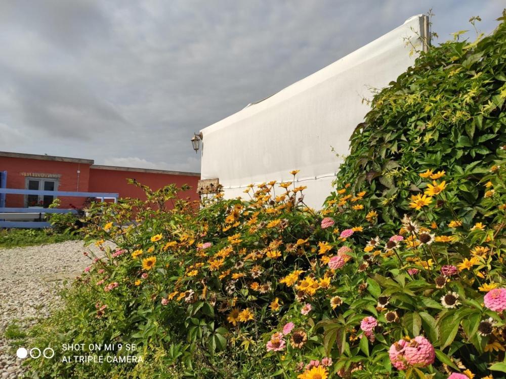Folwark Malinowy Chrusniak Villa Bisztynek ภายนอก รูปภาพ