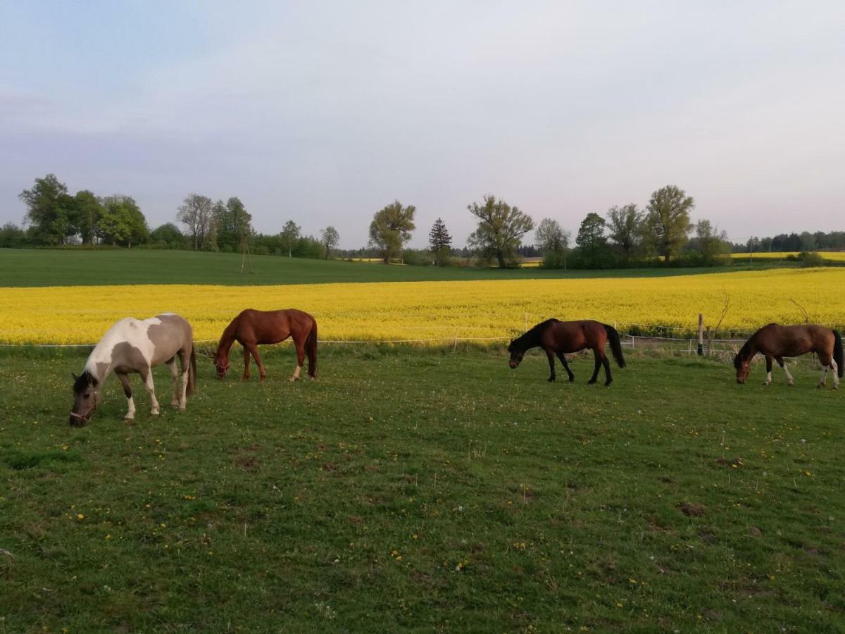 Folwark Malinowy Chrusniak Villa Bisztynek ภายนอก รูปภาพ